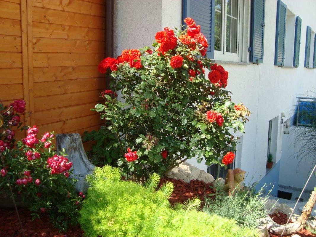 Ferienwohnung Weiser Kressbronn am Bodensee Eksteriør billede